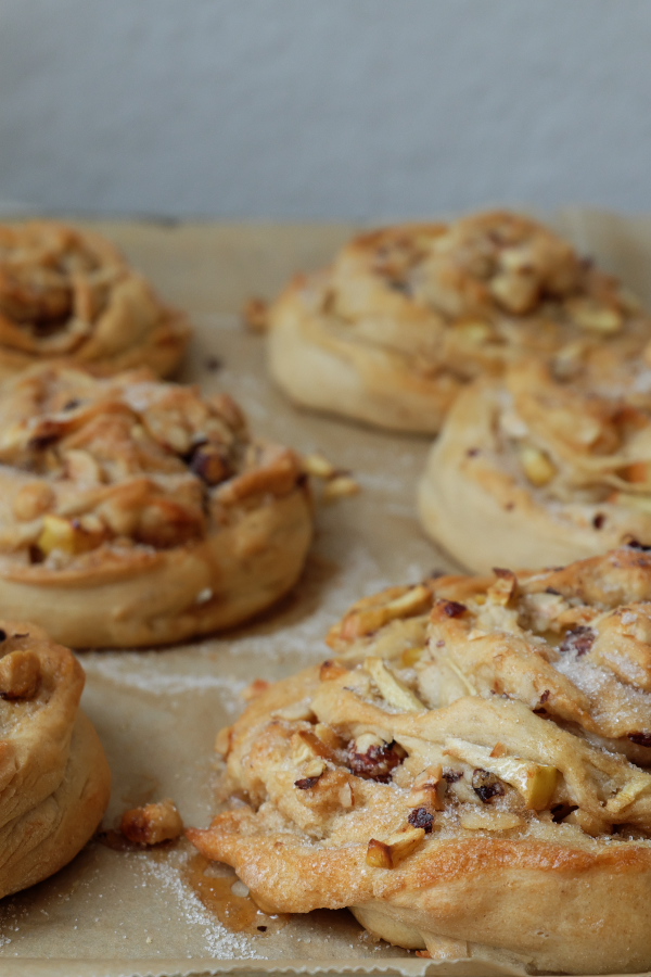 schneckenannsicht2.2