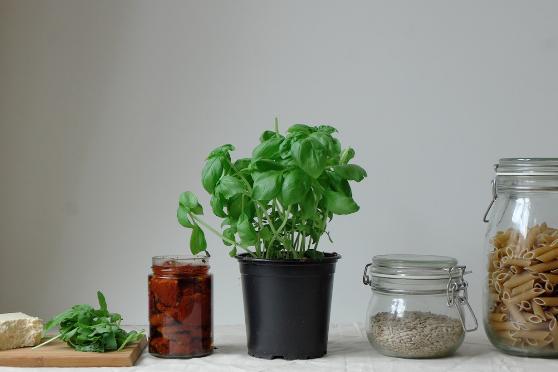 Vegan_Pasta_Salad_Ingredients