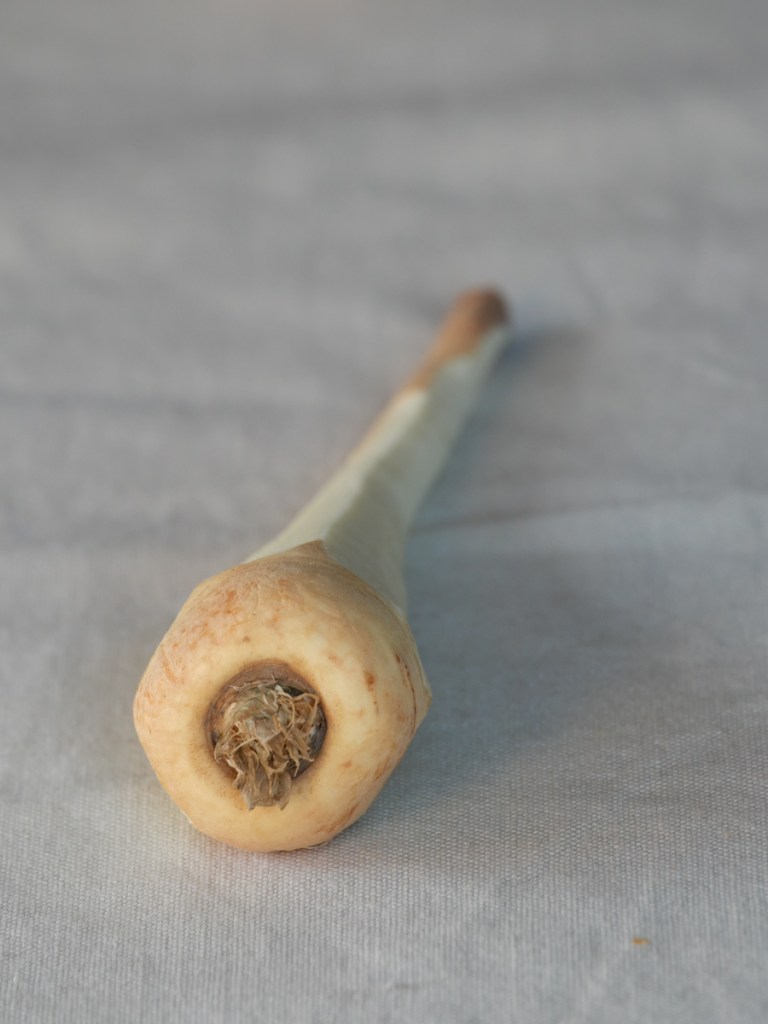 Geschälte Pastinake